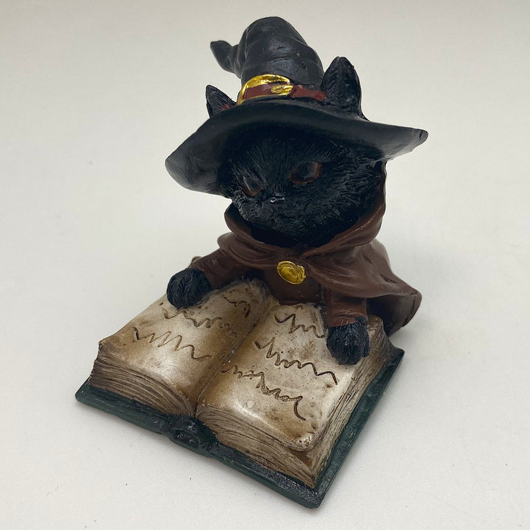 Innenmodell "Schwarze Katze mit grünen Buch" - 50 x 70 mm - Schneekugelhaus